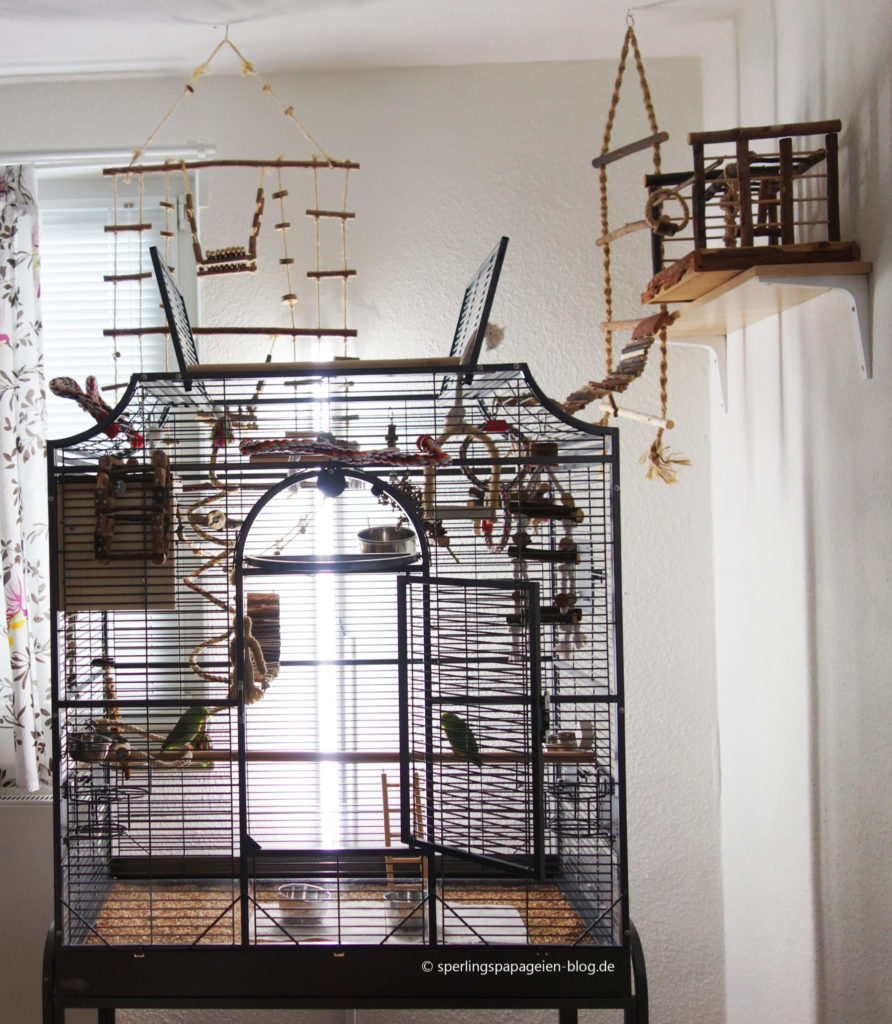 Vogelkäfig Standort in einem hellen, ruhigen und zugluftgeschützten Zimmer