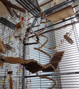 Die Hamsterbrücke ist auch ideal für die Einrichtung von Sperlingspapageien-Käfigen geeignet